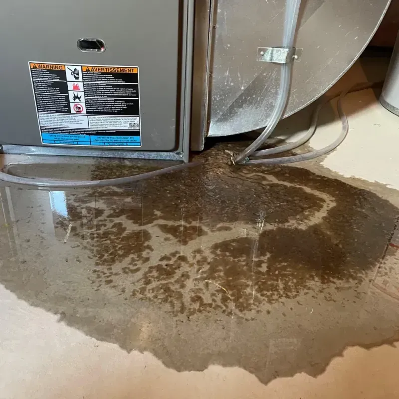 Appliance Leak Cleanup in Essex Junction, VT